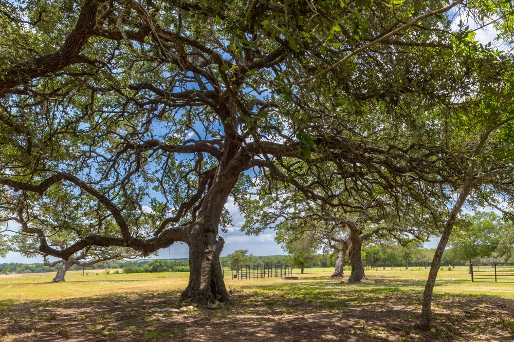 2160 Baca Loop Flatonia, TX 78941