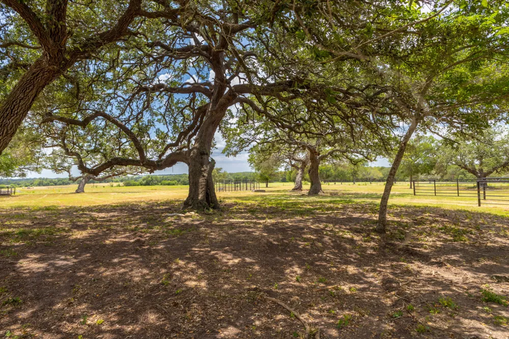 2160 Baca Loop Flatonia, TX 78941