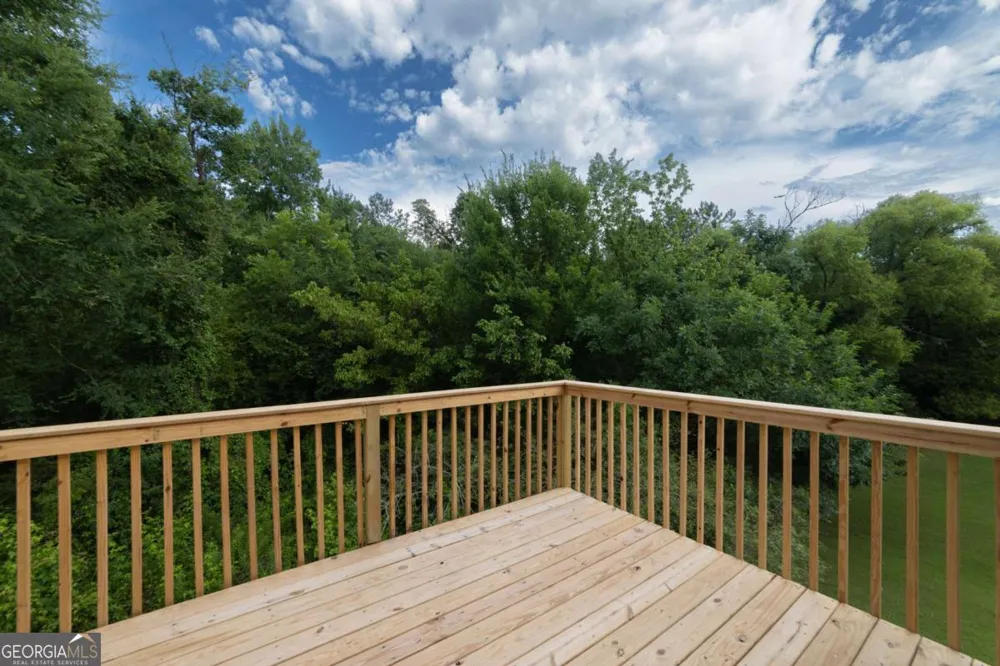1784 Cedar Walk LN Conley, GA 30288