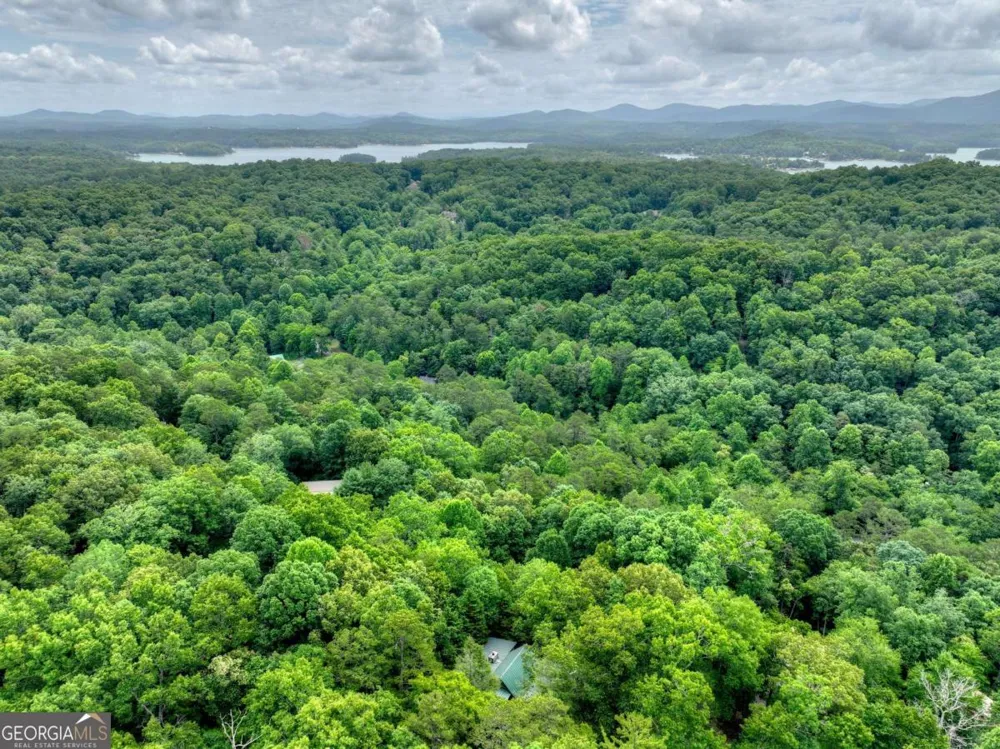 246 Uphill RD Blue Ridge, GA 30513