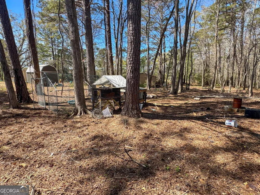 478 Liberty Hill RD Milner, GA 30257