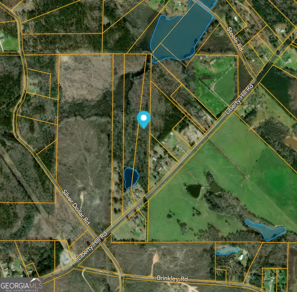 478 Liberty Hill RD Milner, GA 30257
