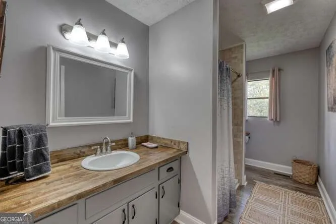 399 Pack Creek RD Blue Ridge, GA 30513