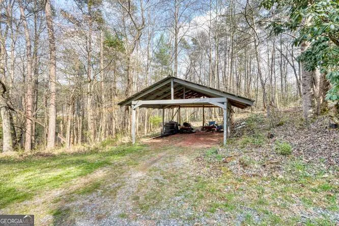 399 Pack Creek RD Blue Ridge, GA 30513