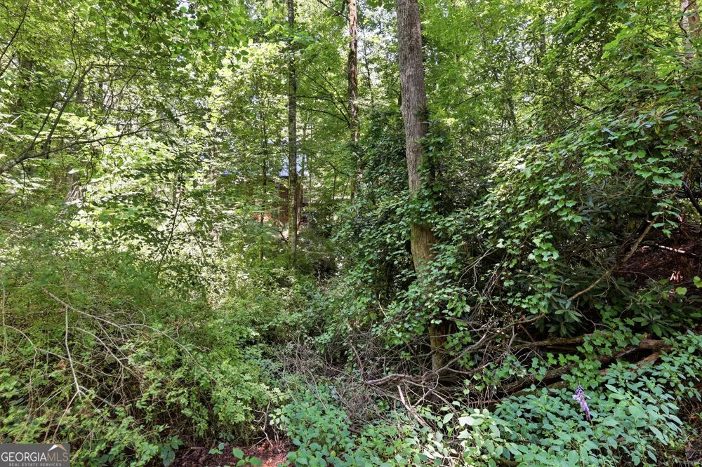 118 Brenda LN Clayton, GA 30525