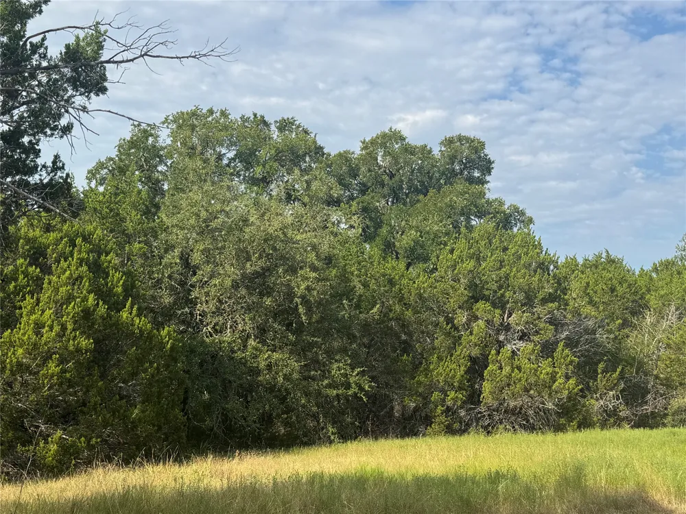 Donnie Drive Lampasas, TX 76550