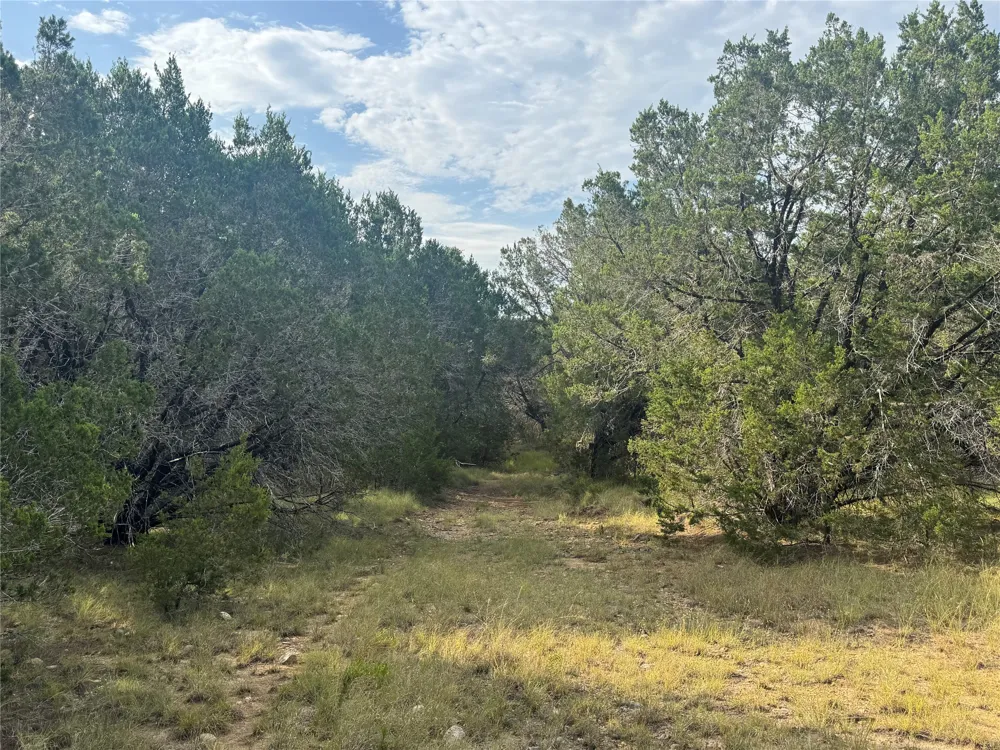 Donnie Drive Lampasas, TX 76550
