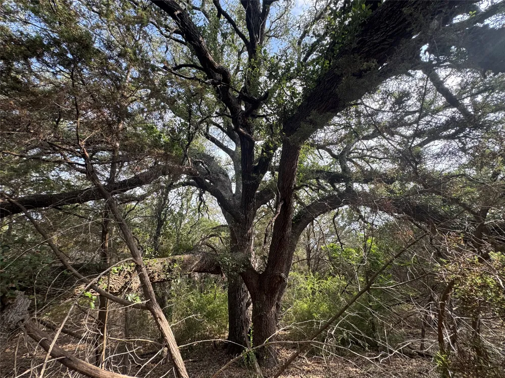 Donnie Drive Lampasas, TX 76550