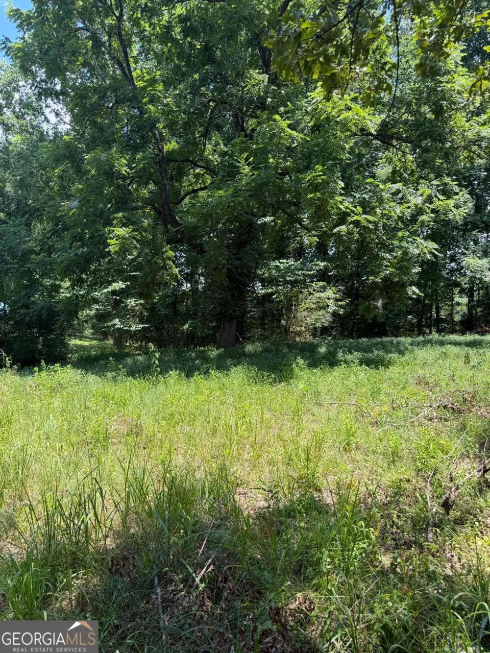 217 Bagwell Garland RD Canton, GA 30115