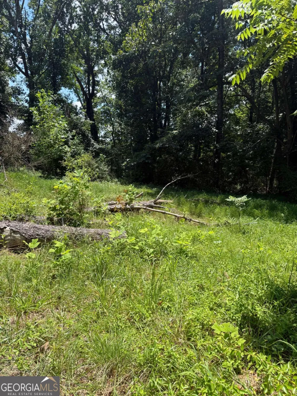 217 Bagwell Garland RD Canton, GA 30115