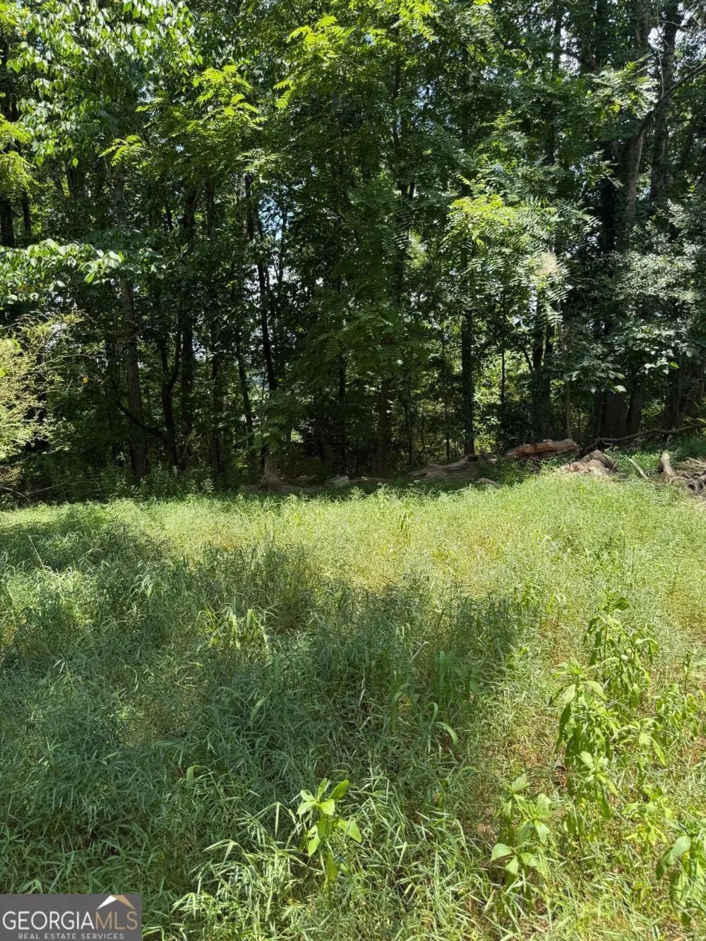 217 Bagwell Garland RD Canton, GA 30115