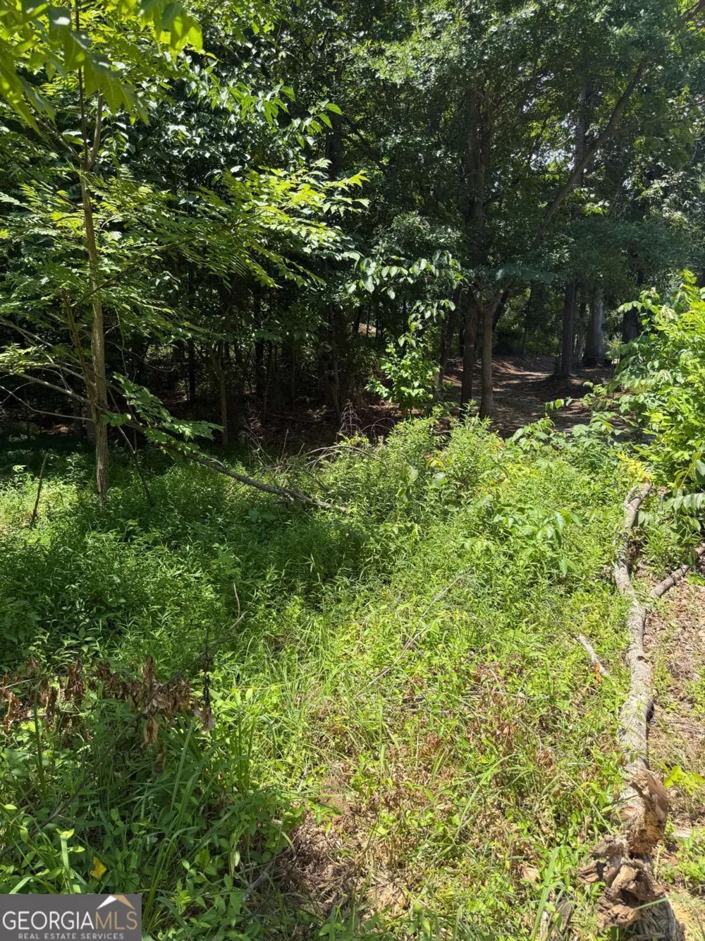 217 Bagwell Garland RD Canton, GA 30115