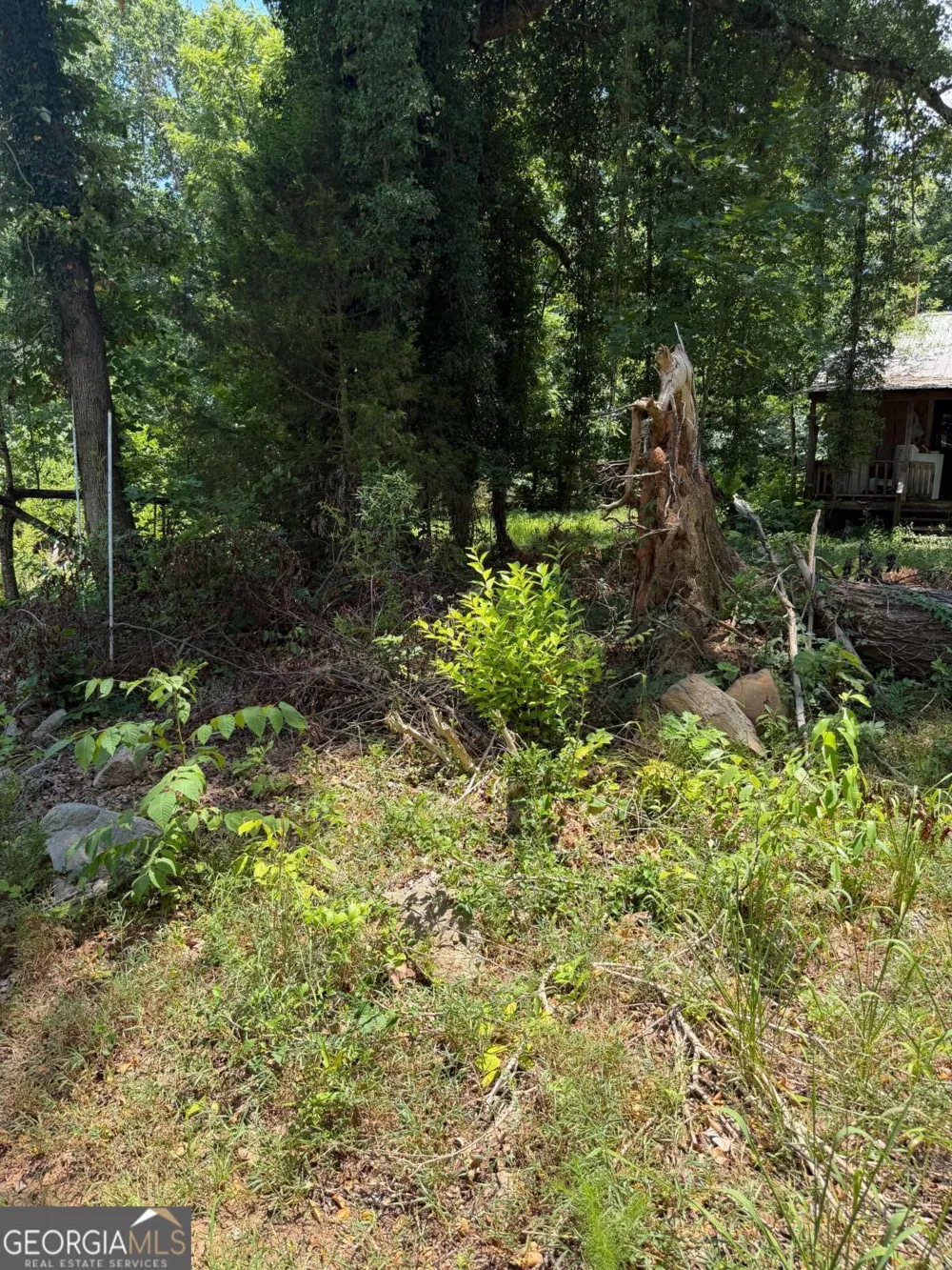 217 Bagwell Garland RD Canton, GA 30115