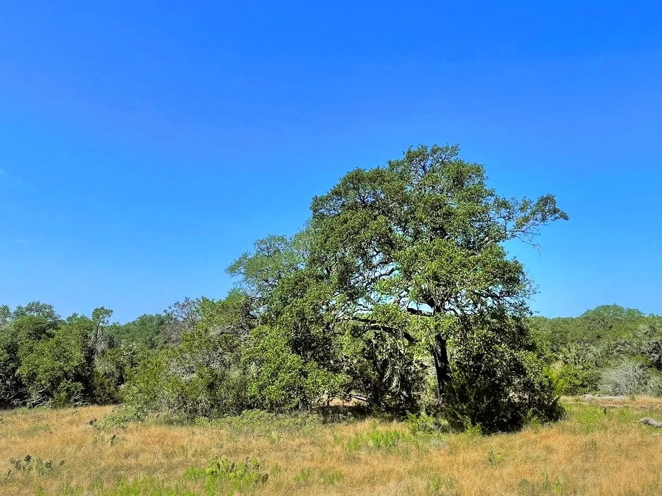 8 Legacy Ridge Burnet, TX 78611