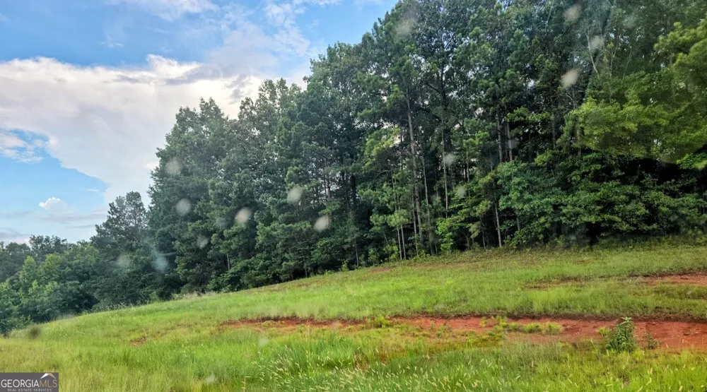19 Highway Thomaston, GA 30286