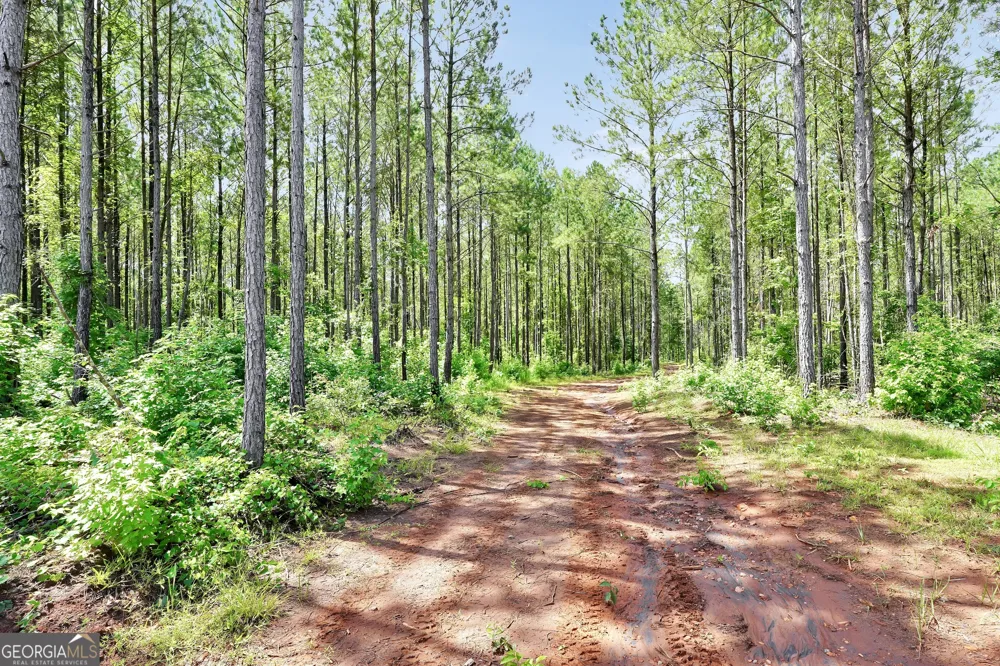 5700 Goolsby RD Monticello, GA 31064