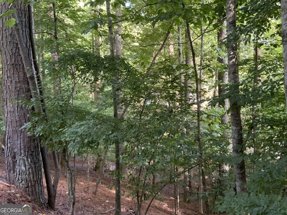 176 14Th ST Ellijay, GA 30540
