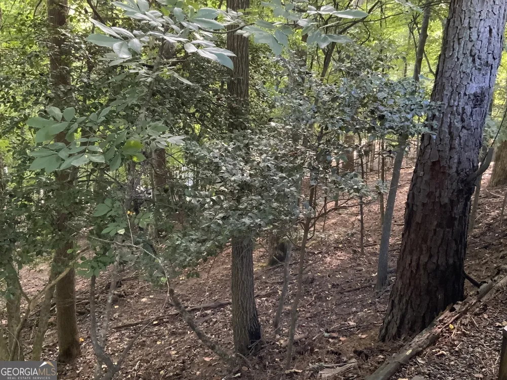 176 14Th ST Ellijay, GA 30540