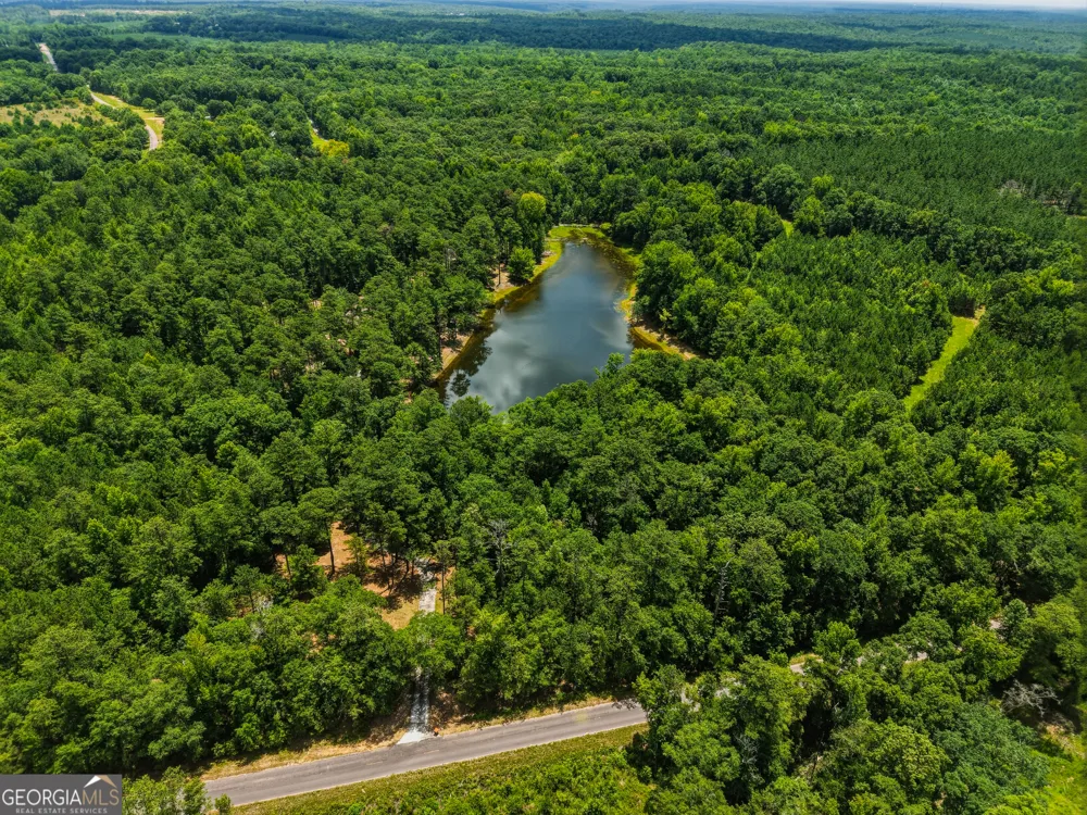 1202 Eddie Martin RD Buena Vista, GA 31803