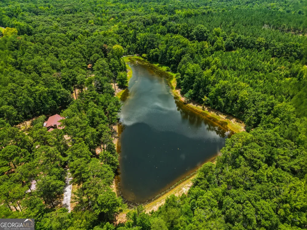 1202 Eddie Martin RD Buena Vista, GA 31803