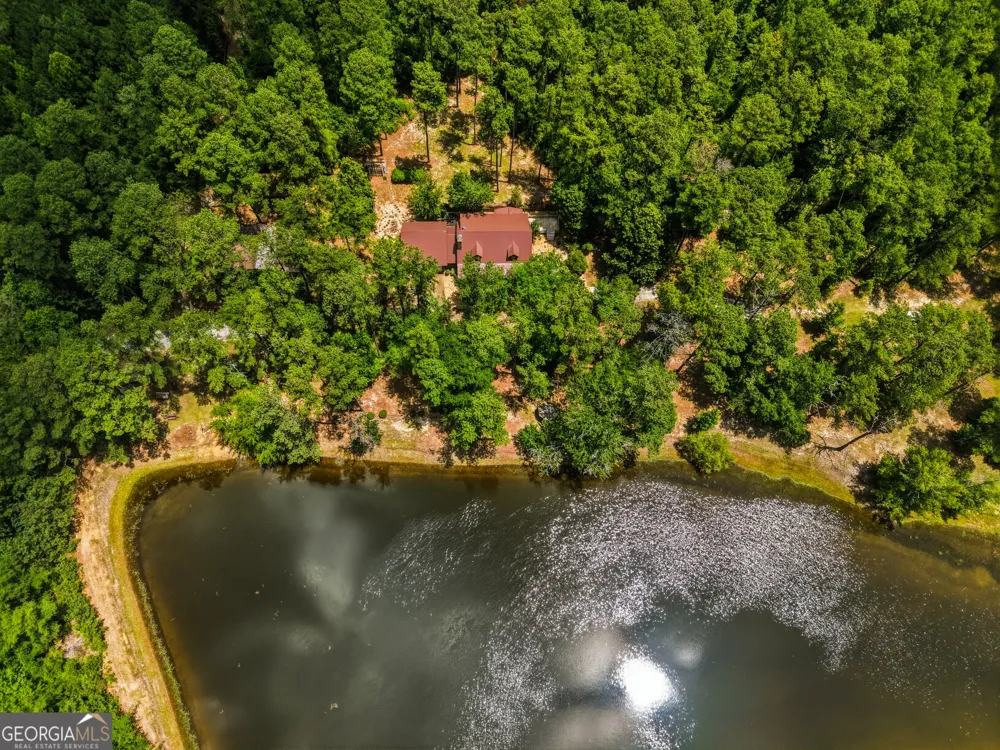 1202 Eddie Martin RD Buena Vista, GA 31803