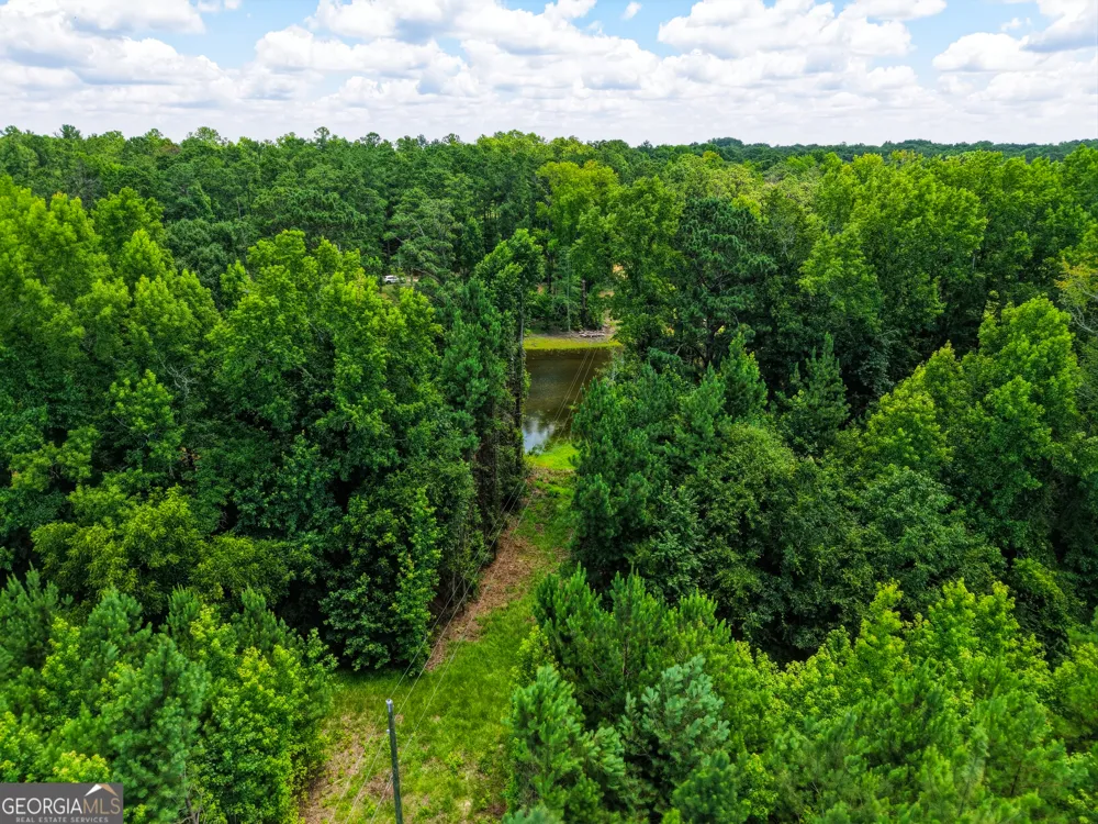 1202 Eddie Martin RD Buena Vista, GA 31803