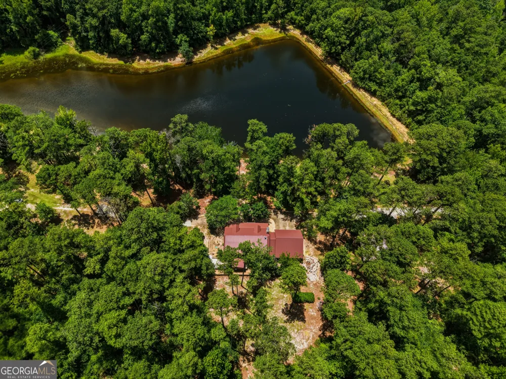 1202 Eddie Martin RD Buena Vista, GA 31803