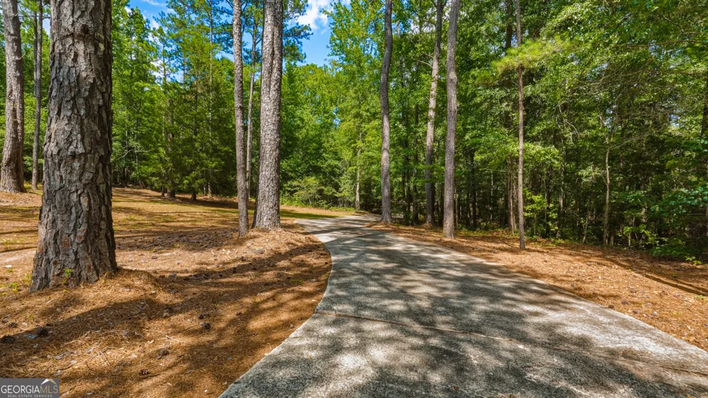 1202 Eddie Martin RD Buena Vista, GA 31803