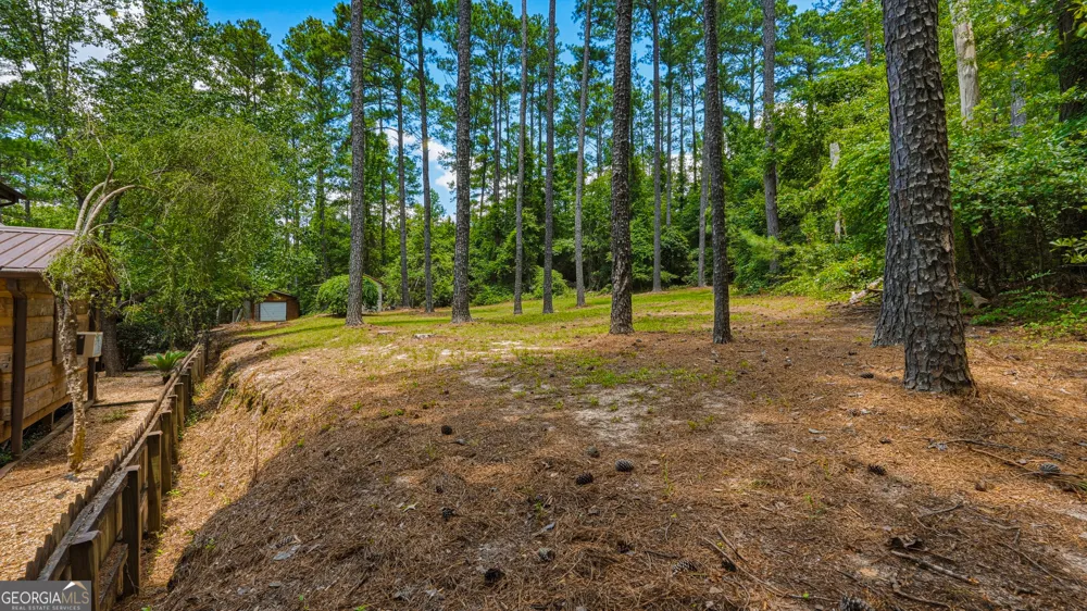 1202 Eddie Martin RD Buena Vista, GA 31803