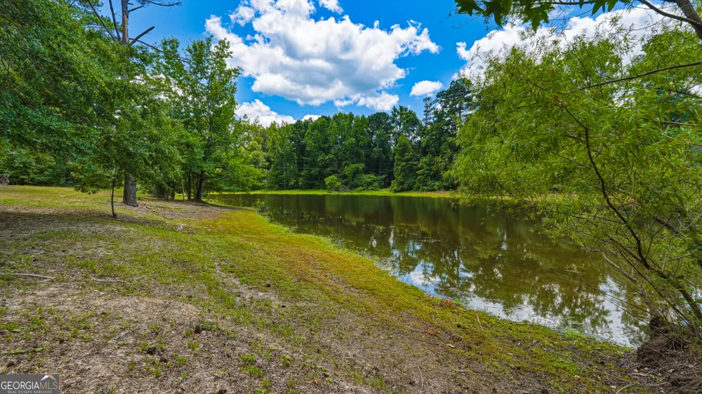 1202 Eddie Martin RD Buena Vista, GA 31803