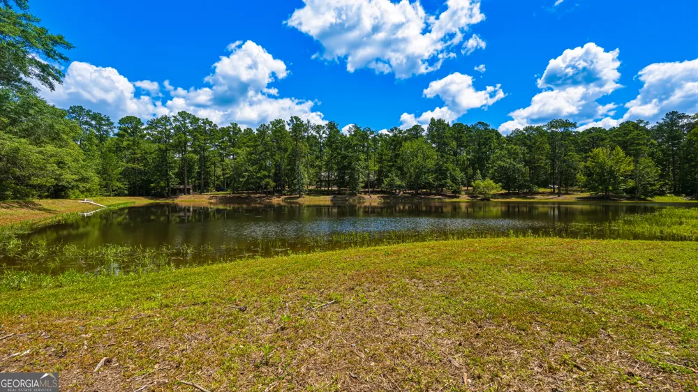 1202 Eddie Martin RD Buena Vista, GA 31803