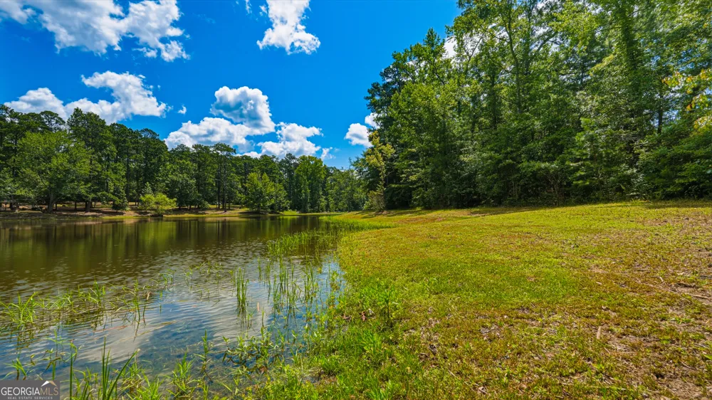 1202 Eddie Martin RD Buena Vista, GA 31803