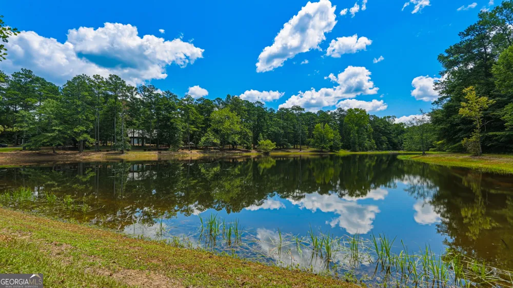 1202 Eddie Martin RD Buena Vista, GA 31803