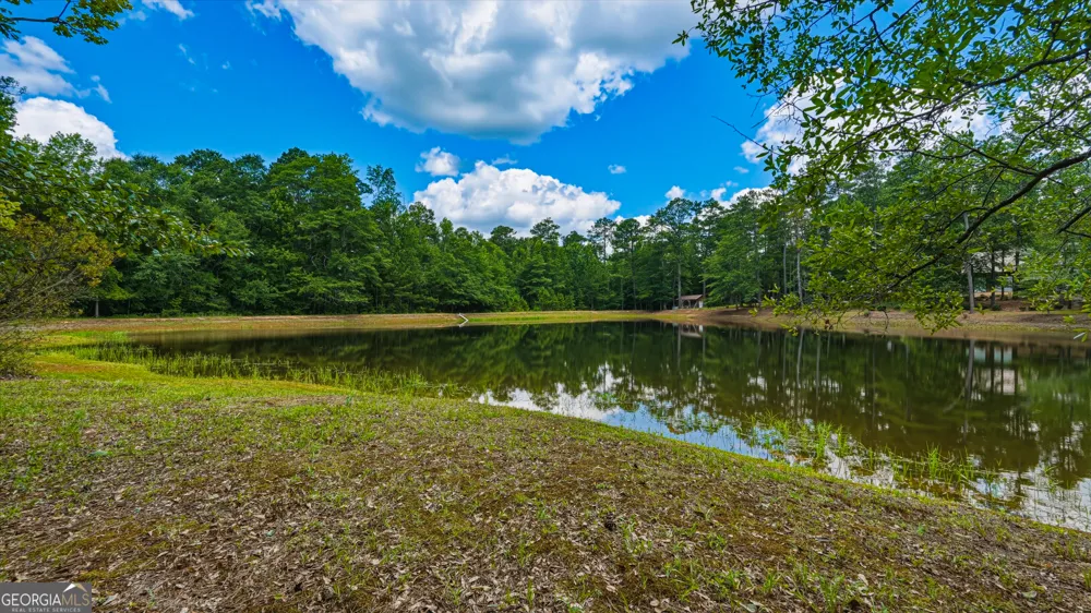 1202 Eddie Martin RD Buena Vista, GA 31803