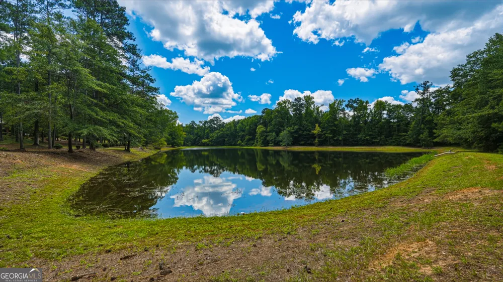 1202 Eddie Martin RD Buena Vista, GA 31803