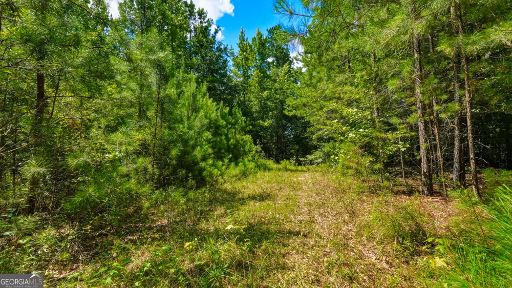 1202 Eddie Martin RD Buena Vista, GA 31803