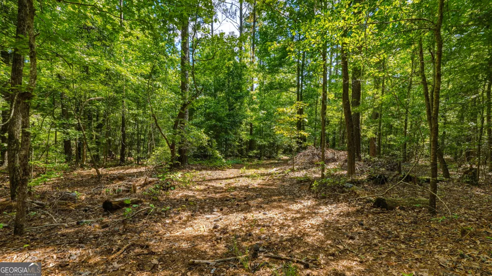 1202 Eddie Martin RD Buena Vista, GA 31803