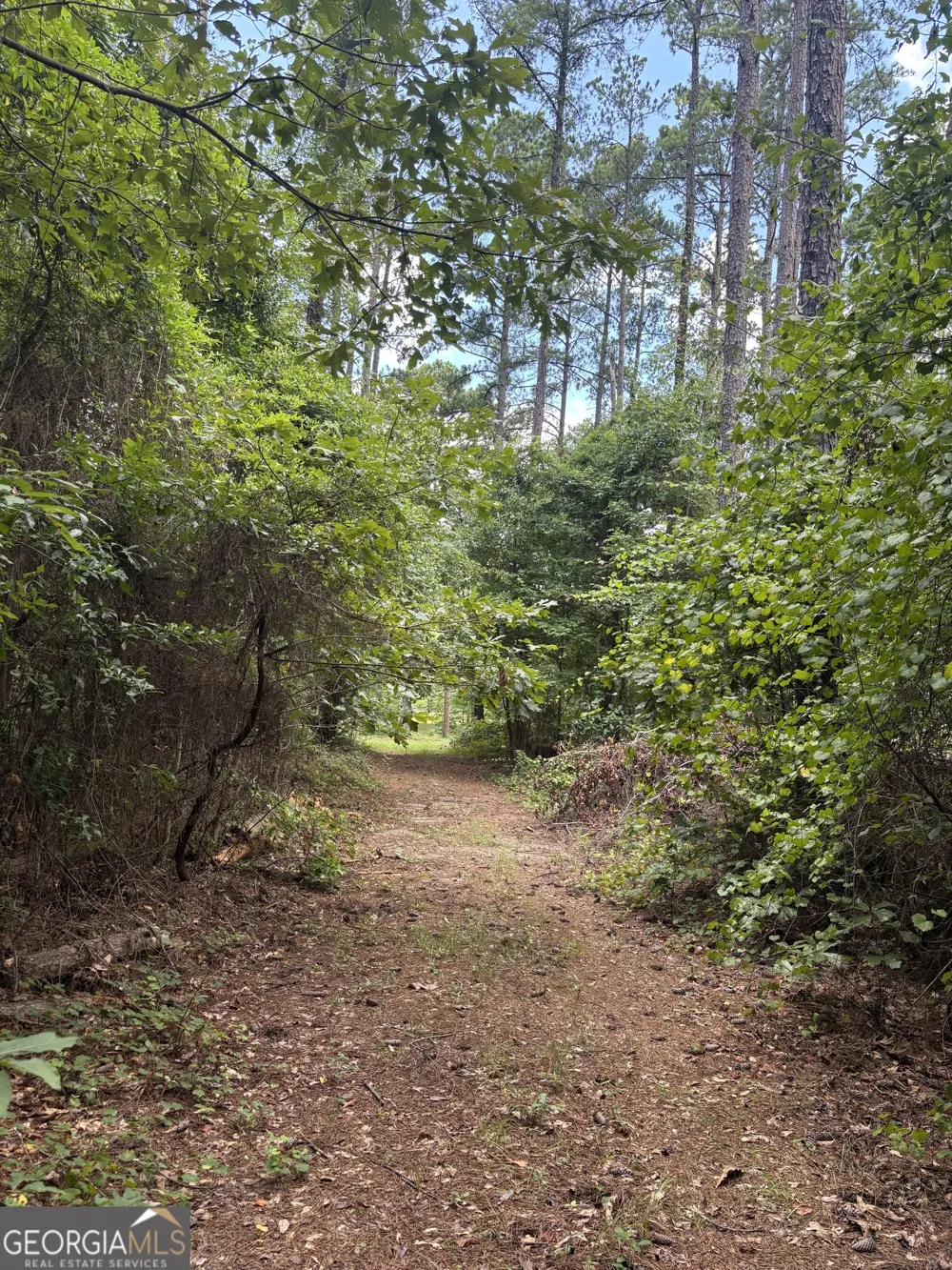 1202 Eddie Martin RD Buena Vista, GA 31803