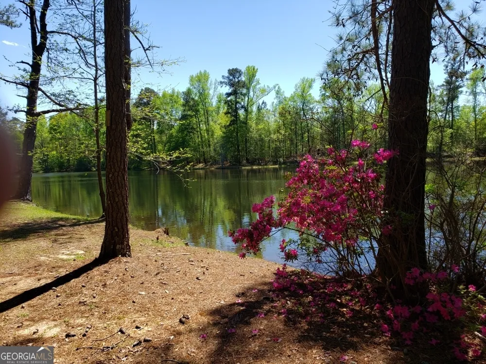 1202 Eddie Martin RD Buena Vista, GA 31803