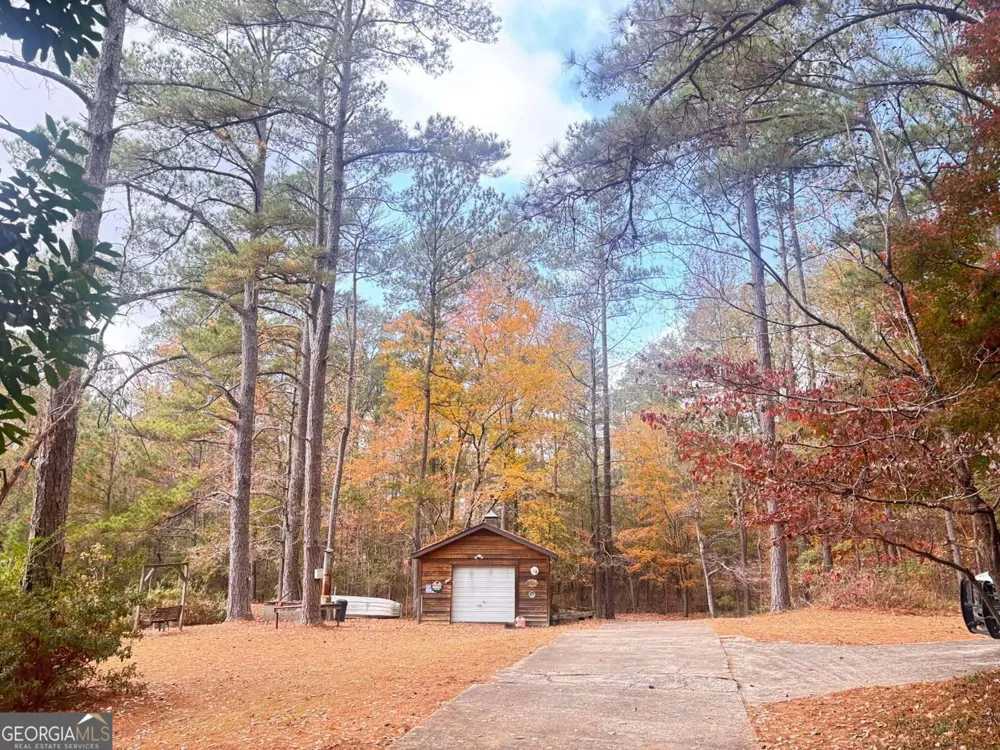 1202 Eddie Martin RD Buena Vista, GA 31803