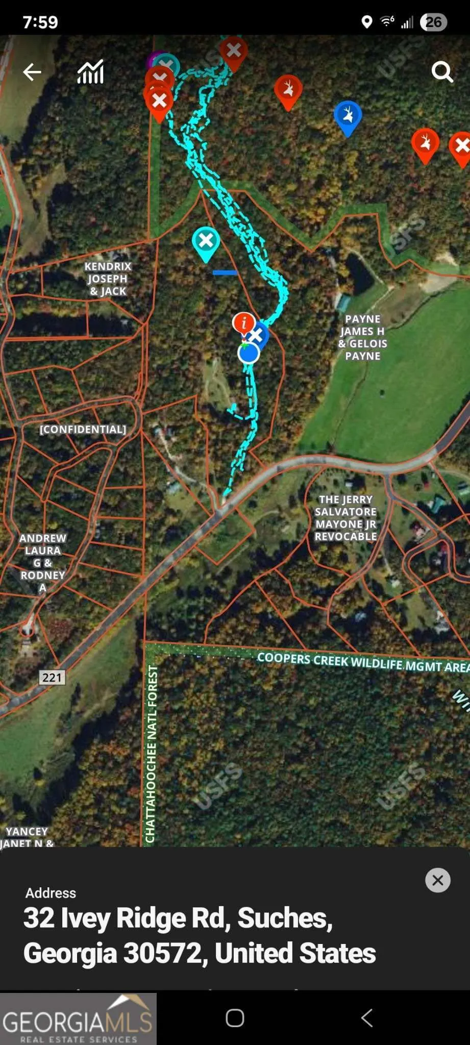 32 Ivey Ridge RD Suches, GA 30572