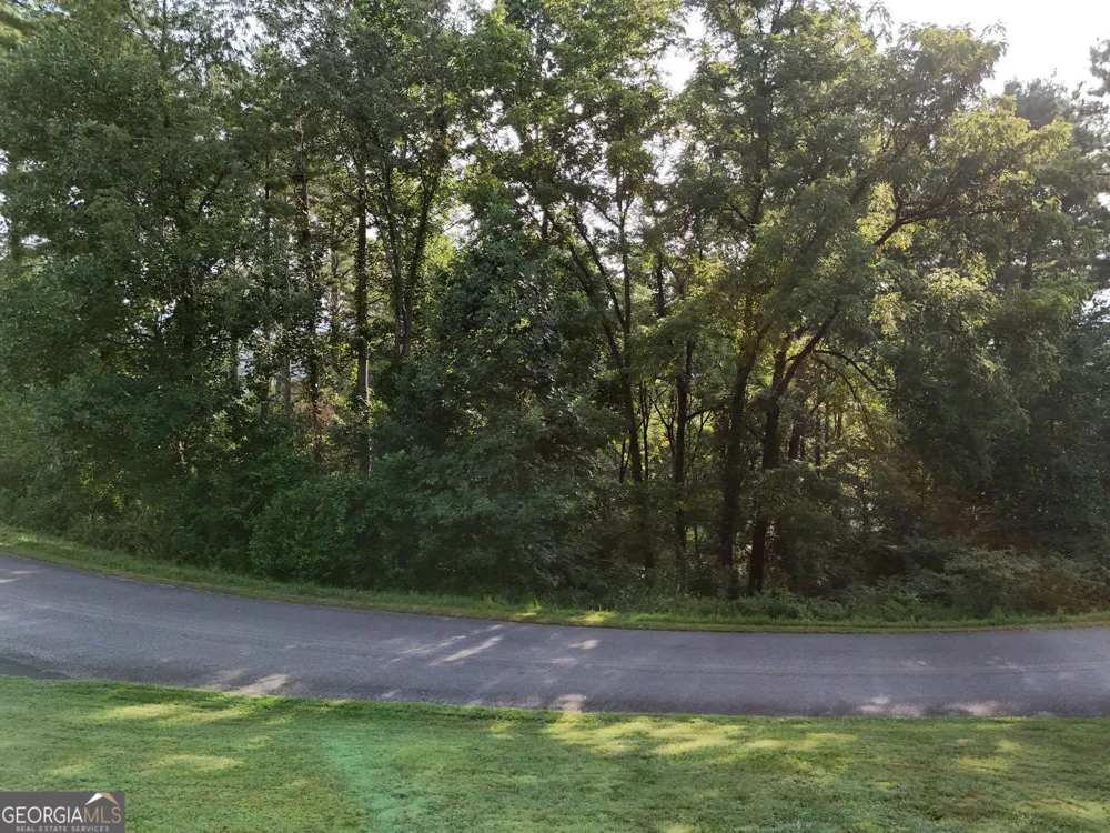 LOT 4 River Lake Estates Blairsville, GA 30512