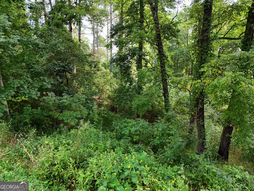 LOT 4 River Lake Estates Blairsville, GA 30512