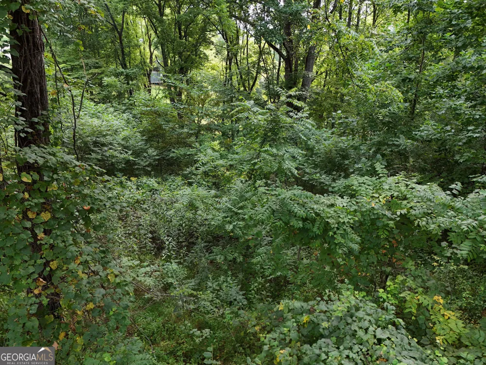 LOT 4 River Lake Estates Blairsville, GA 30512