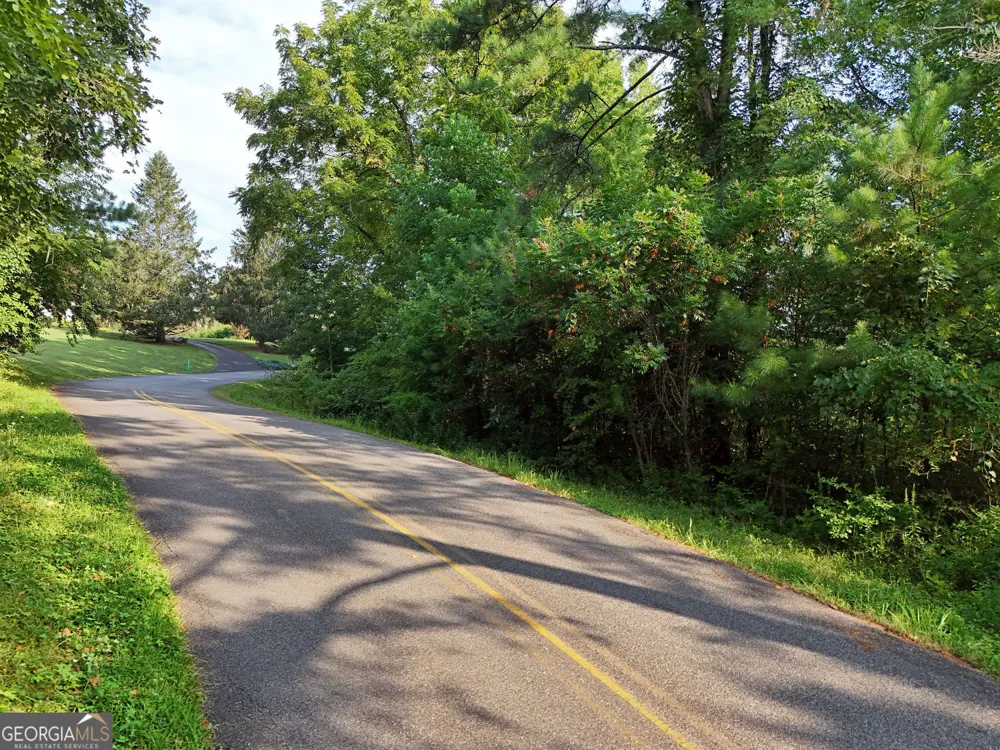 LOT 4 River Lake Estates Blairsville, GA 30512
