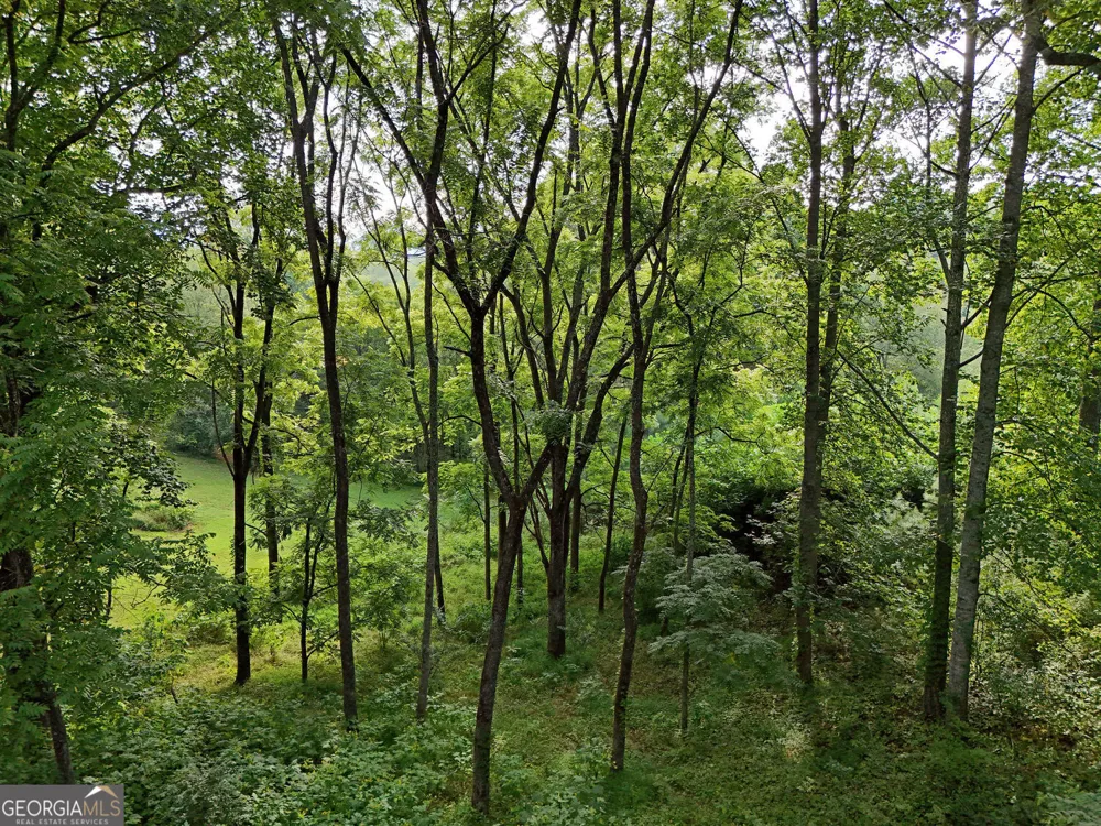 LOT 4 River Lake Estates Blairsville, GA 30512