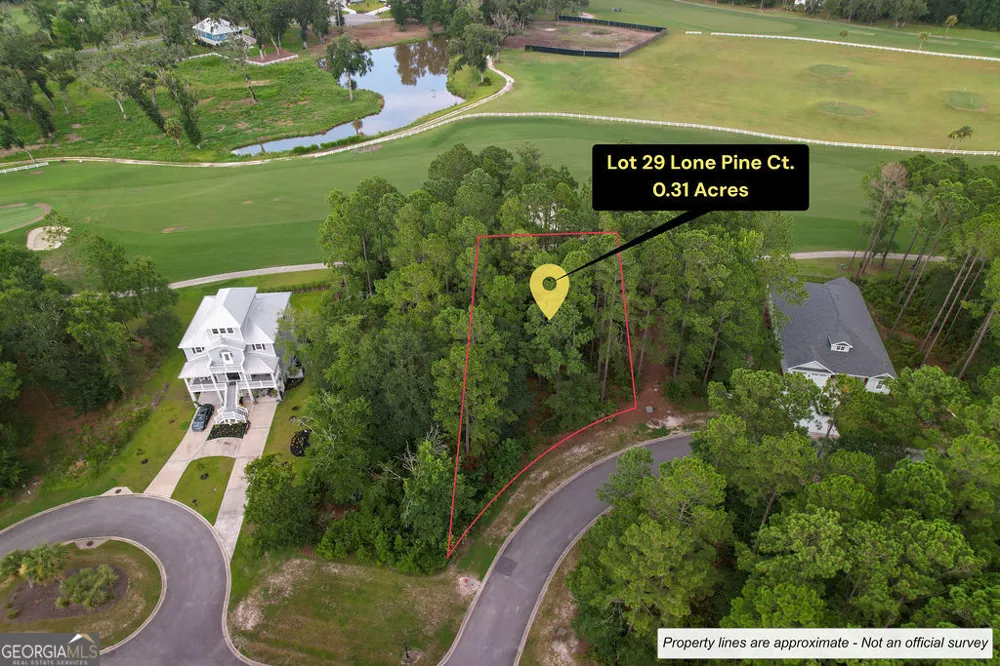 0 Lone Pine CT Waverly, GA 31565