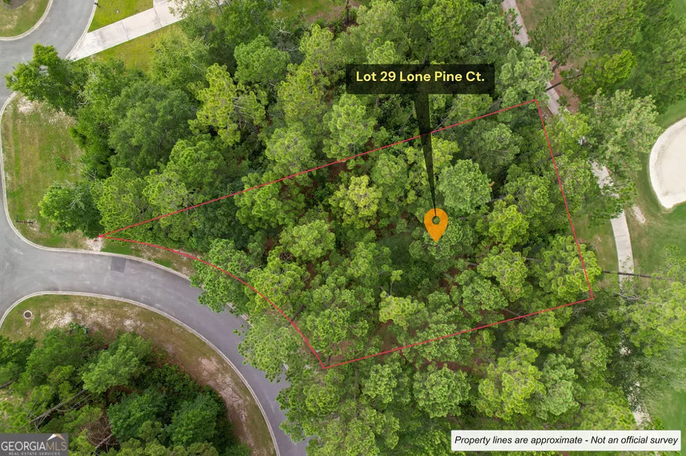 0 Lone Pine CT Waverly, GA 31565