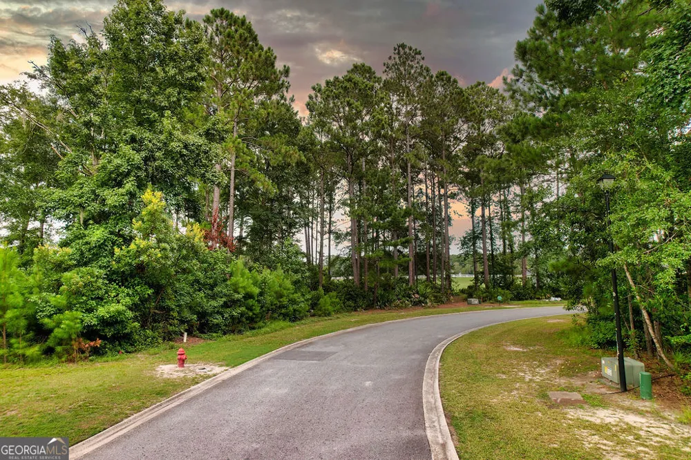 0 Lone Pine CT Waverly, GA 31565