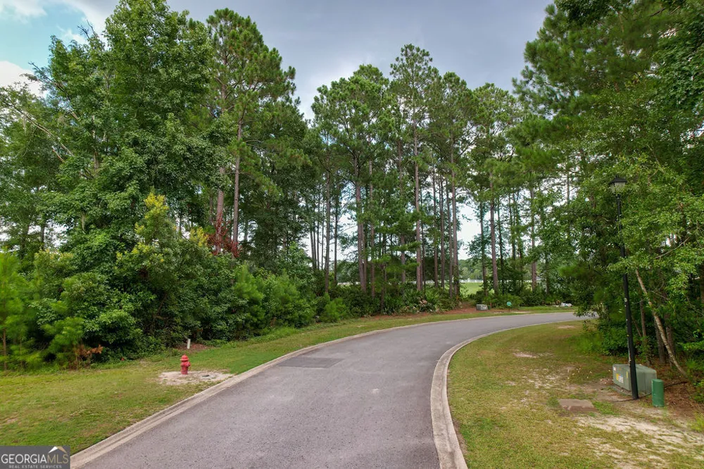 0 Lone Pine CT Waverly, GA 31565